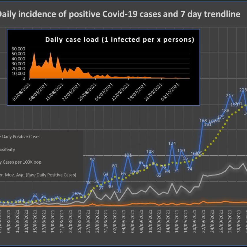 Daily Incidence of Covid 19 Cases